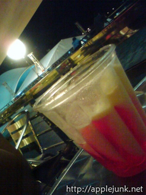 blueberry08.jpg