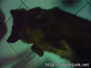 arthurbday01.jpg