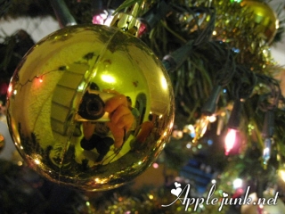 xmaseve10.jpg