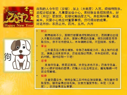 11-dog