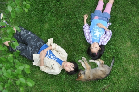 a_tale_of_ululus_wonderful_forest-03