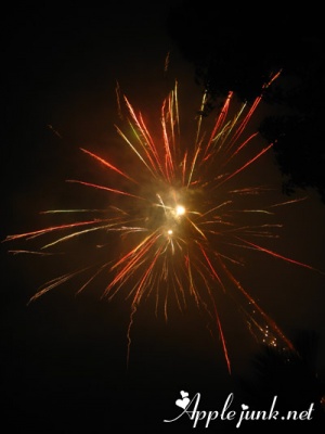 fireworks03.jpg