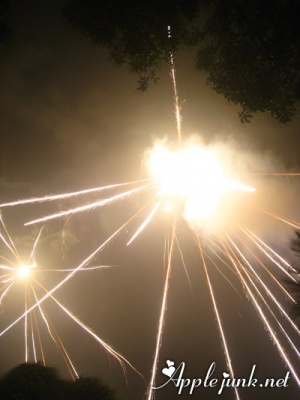 fireworks05.jpg
