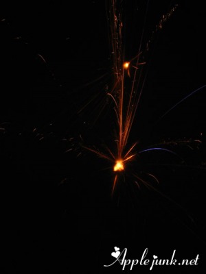 fireworks06.jpg