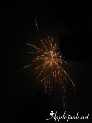 fireworks07.jpg