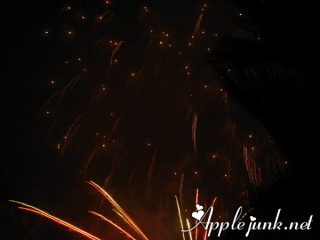 fireworks08.jpg