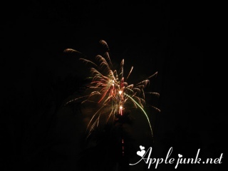 fireworks10.jpg