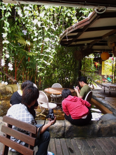 OLYMPUS DIGITAL CAMERA