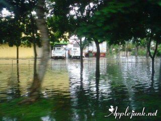 flood01.jpg