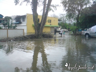 flood02.jpg