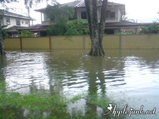 flood03.jpg
