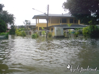 flood04.jpg