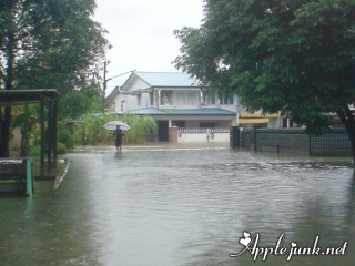 flood06.jpg